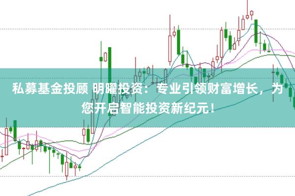 私募基金投顾 明曜投资：专业引领财富增长，为您开启智能投资新纪元！