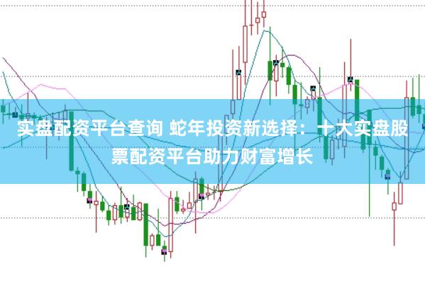 实盘配资平台查询 蛇年投资新选择：十大实盘股票配资平台助力财富增长