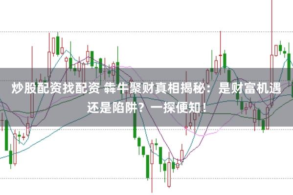 炒股配资找配资 犇牛聚财真相揭秘：是财富机遇还是陷阱？一探便知！