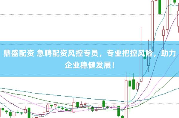 鼎盛配资 急聘配资风控专员，专业把控风险，助力企业稳健发展！
