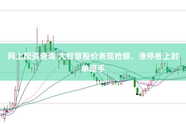 网上配资查询 大智慧股价表现抢眼，涨停板上封单超手