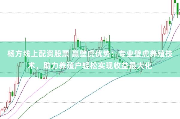 杨方线上配资股票 赢壁虎优势：专业壁虎养殖技术，助力养殖户轻松实现收益最大化