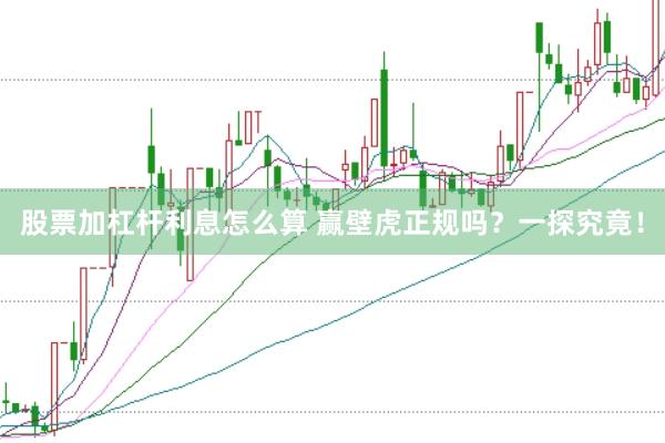 股票加杠杆利息怎么算 赢壁虎正规吗？一探究竟！