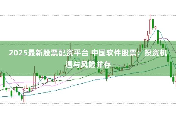 2025最新股票配资平台 中国软件股票：投资机遇与风险并存