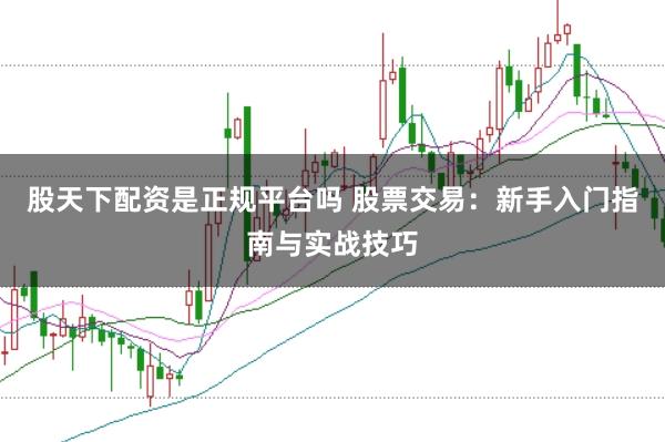 股天下配资是正规平台吗 股票交易：新手入门指南与实战技巧