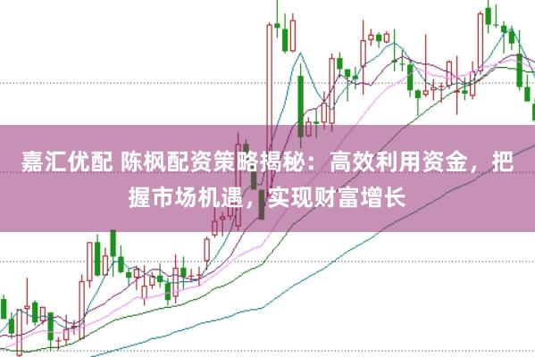 嘉汇优配 陈枫配资策略揭秘：高效利用资金，把握市场机遇，实现财富增长