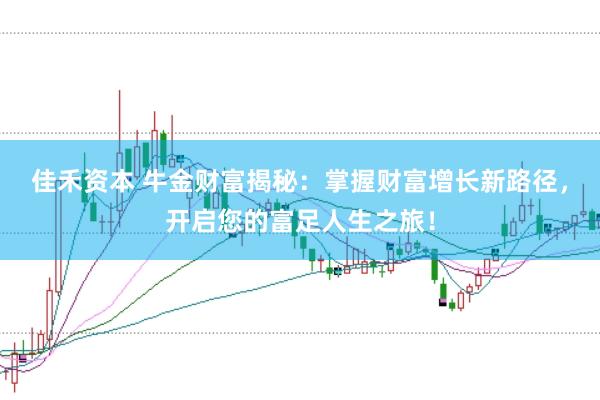 佳禾资本 牛金财富揭秘：掌握财富增长新路径，开启您的富足人生之旅！