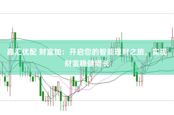 嘉汇优配 财富加：开启您的智能理财之旅，实现财富稳健增长