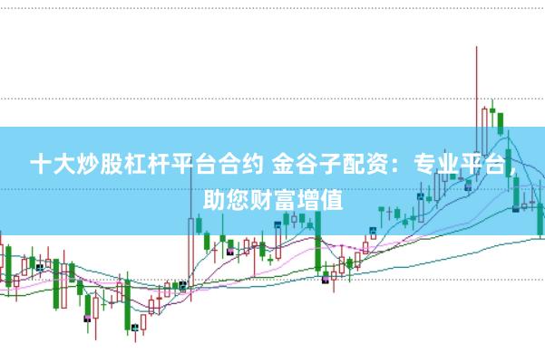 十大炒股杠杆平台合约 金谷子配资：专业平台，助您财富增值