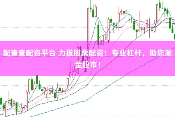 配查查配资平台 力拔股票配资：专业杠杆，助您掘金股市！