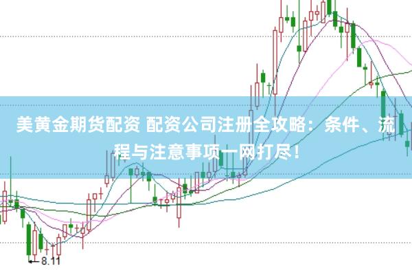 美黄金期货配资 配资公司注册全攻略：条件、流程与注意事项一网打尽！