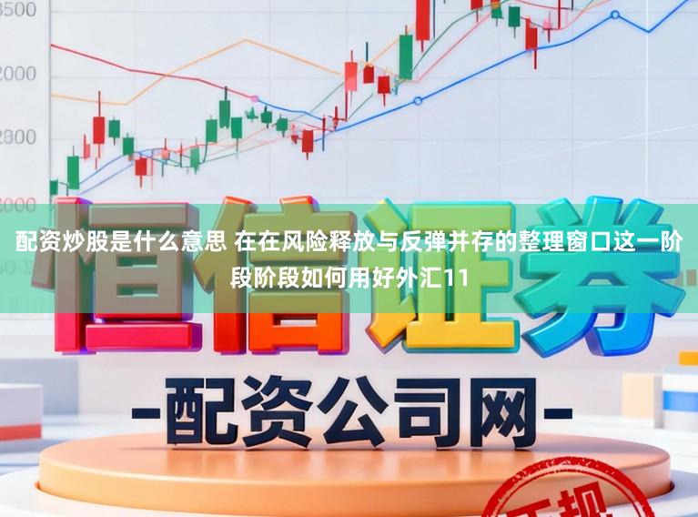 配资炒股是什么意思 在在风险释放与反弹并存的整理窗口这一阶段阶段如何用好外汇11