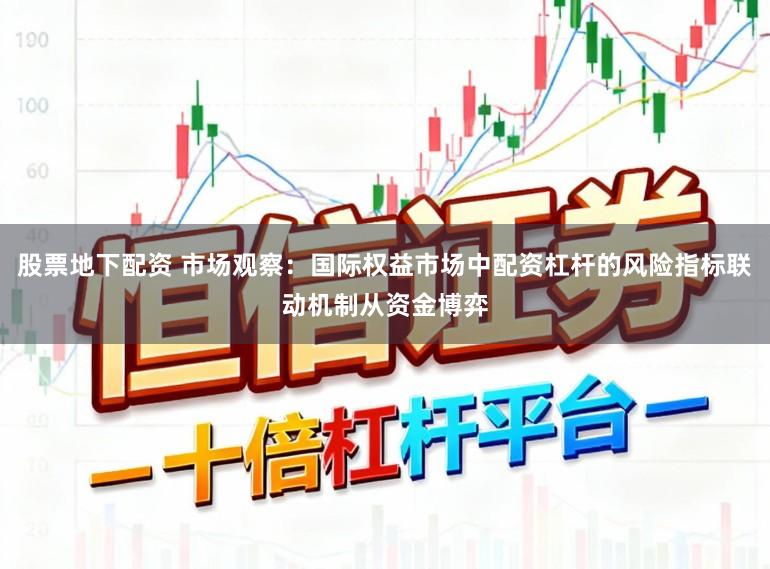 股票地下配资 市场观察：国际权益市场中配资杠杆的风险指标联动机制从资金博弈